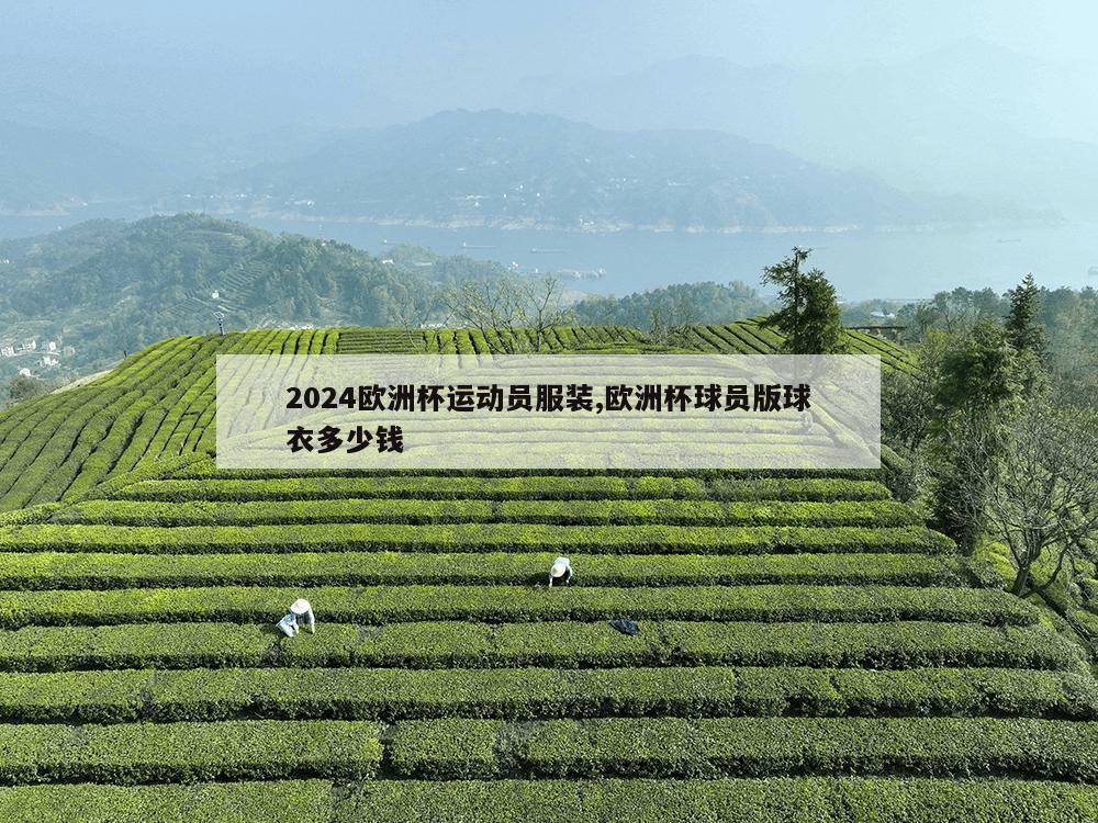 2024欧洲杯运动员服装,欧洲杯球员版球衣多少钱