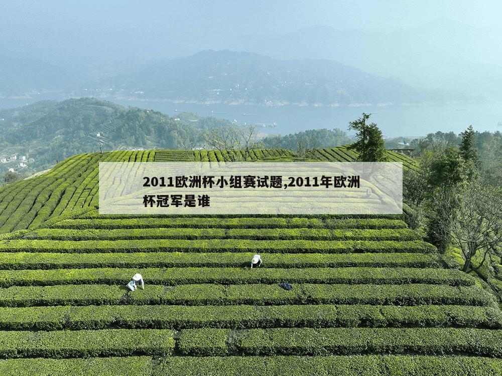 2011欧洲杯小组赛试题,2011年欧洲杯冠军是谁