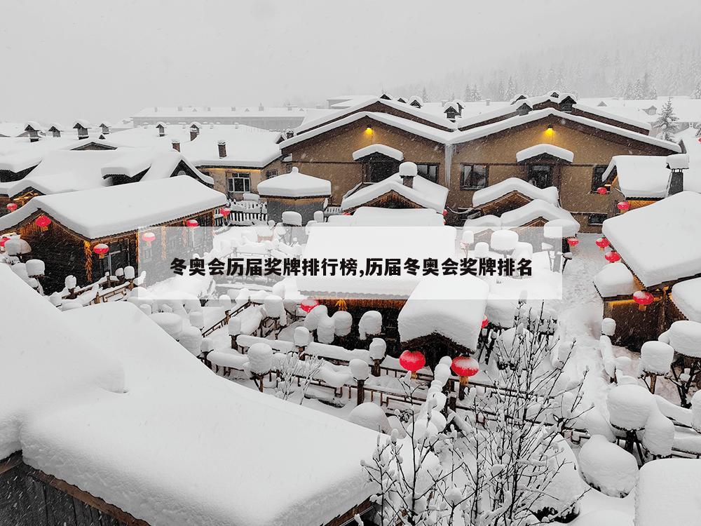 冬奥会历届奖牌排行榜,历届冬奥会奖牌排名