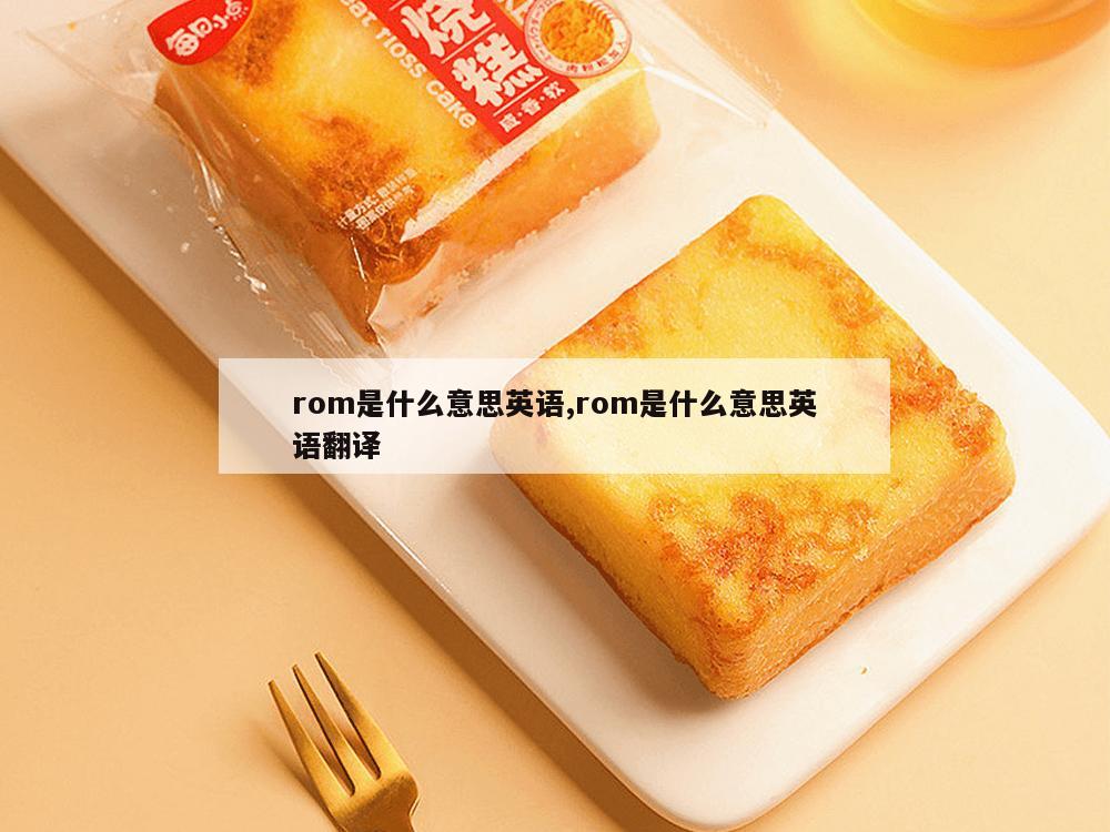 rom是什么意思英语,rom是什么意思英语翻译