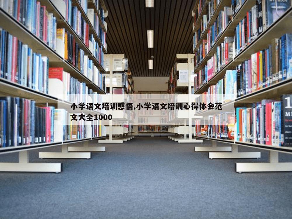 小学语文培训感悟,小学语文培训心得体会范文大全1000