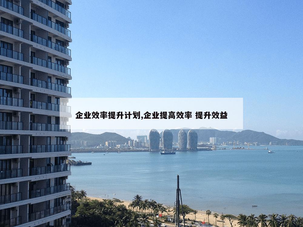 企业效率提升计划,企业提高效率 提升效益