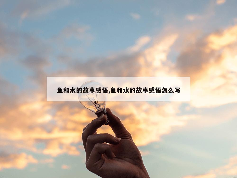 鱼和水的故事感悟,鱼和水的故事感悟怎么写