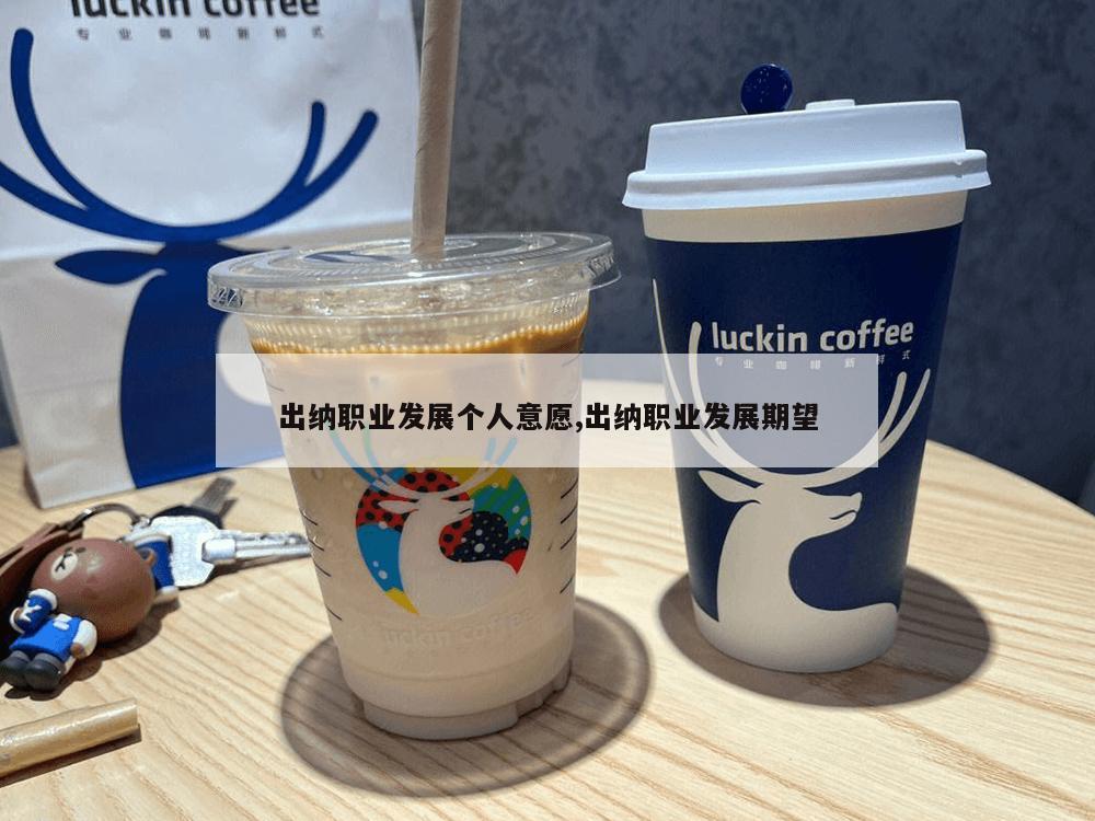 出纳职业发展个人意愿,出纳职业发展期望