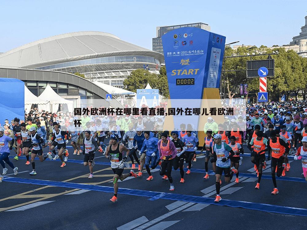 国外欧洲杯在哪里看直播,国外在哪儿看欧洲杯