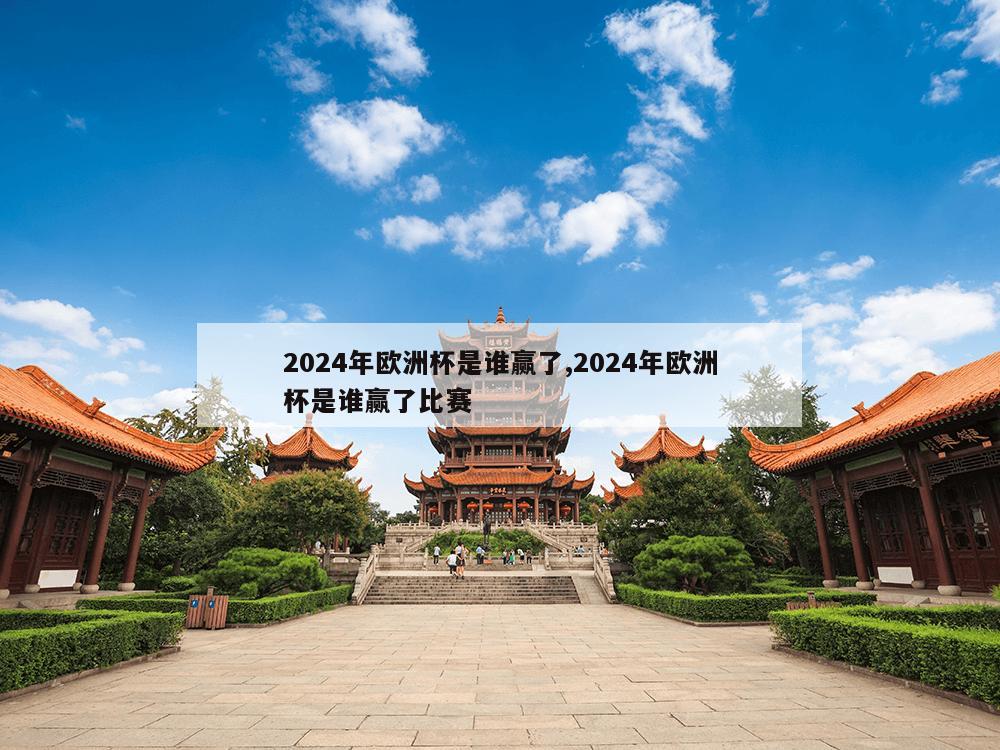 2024年欧洲杯是谁赢了,2024年欧洲杯是谁赢了比赛