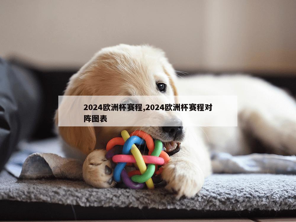 2024欧洲杯赛程,2024欧洲杯赛程对阵图表